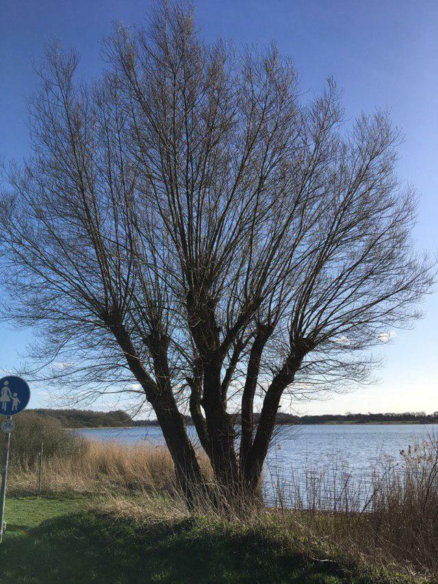 Ferienwohnung Am Noor Nahe Schleswig Und Dem Wikingerdorf Haithabu Fahrdorf (Schleswig-Holstein) Exterior foto