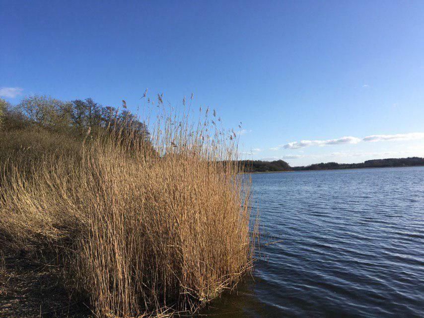 Ferienwohnung Am Noor Nahe Schleswig Und Dem Wikingerdorf Haithabu Fahrdorf (Schleswig-Holstein) Exterior foto