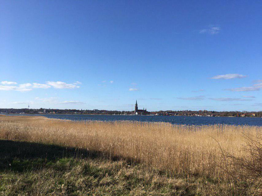 Ferienwohnung Am Noor Nahe Schleswig Und Dem Wikingerdorf Haithabu Fahrdorf (Schleswig-Holstein) Exterior foto